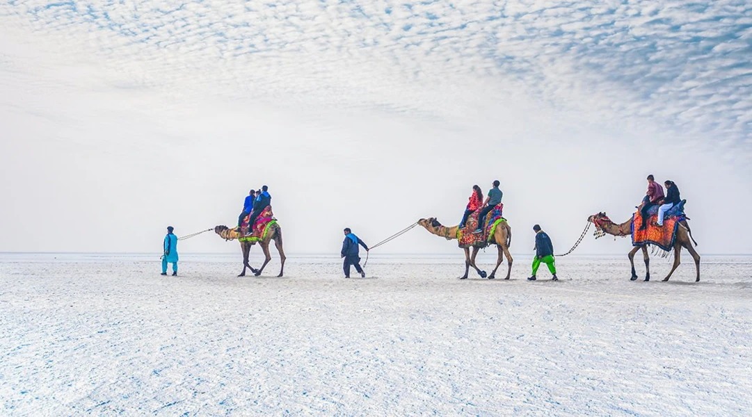 White Rann of Kutch